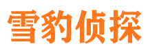 广水侦探公司